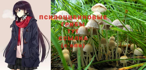 метамфетамин Белокуриха