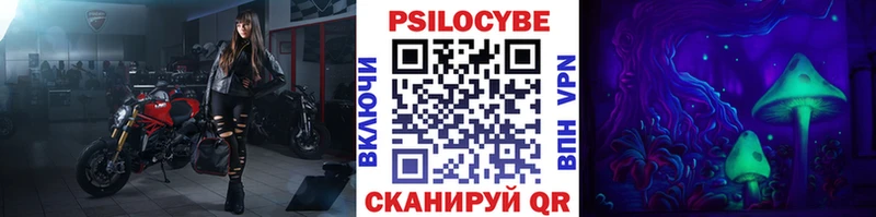 Галлюциногенные грибы Psilocybine cubensis Кореновск