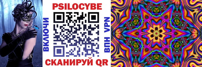 где найти наркотики  Кореновск  Псилоцибиновые грибы Psilocybe 